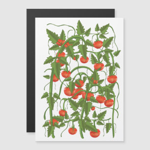 Tomatoes Pattern