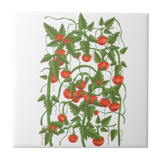 Tomatoes Pattern Tile (Front)