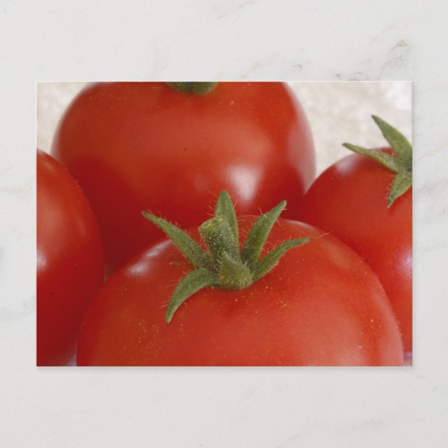 Tomatoes Postcard (Front)