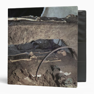 Tomb of a Gaulish chief Binder