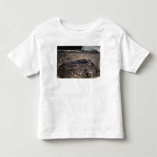 Tomb of a Gaulish chief Toddler T-shirt