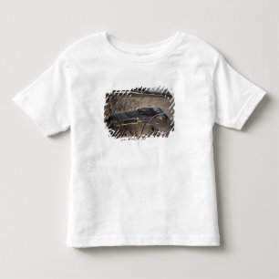 Tomb of a Gaulish chief Toddler T-shirt