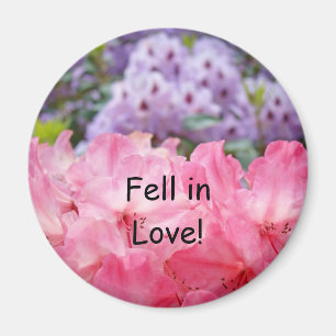 Tombé amoureux ! aimant Fleurs de Rhododendron Ros