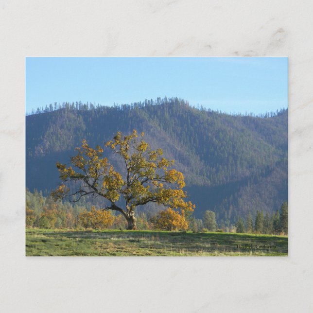 Tombe dans les montagnes... carte postale (Devant)