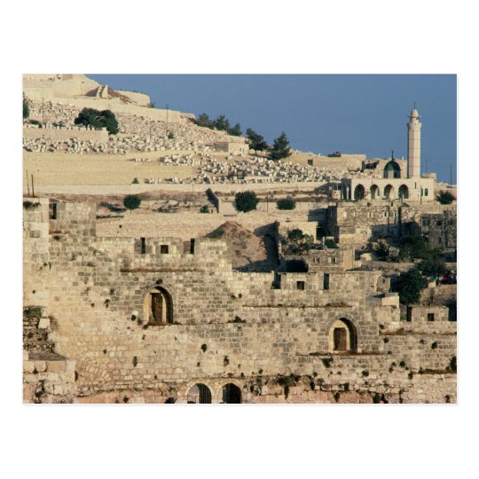 Tombs on the side of the Mount of Olives Postcard