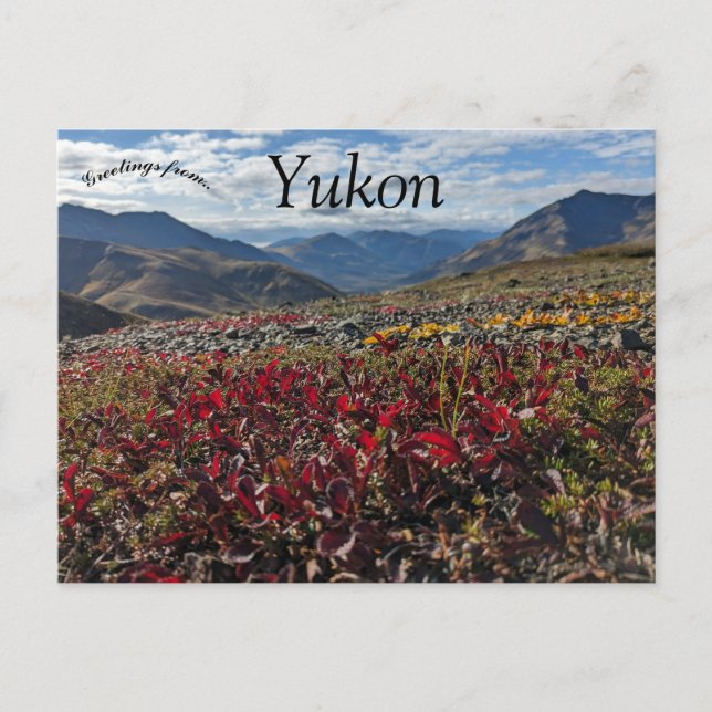 Tombstone Territorial Park Dawson Yukon Canada Postcard (Front)