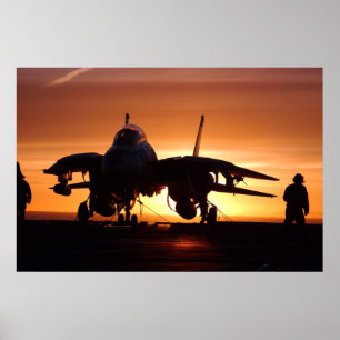 Tomcat in the Gulf of Alaska Poster
