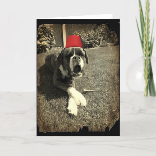 Tommy Cooper Boxer Dog Card