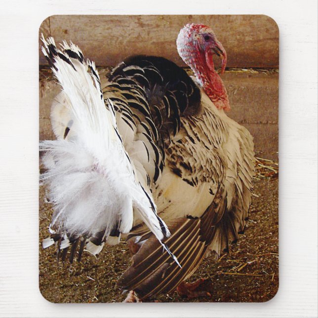 Tommy Mouse Pad (Front)