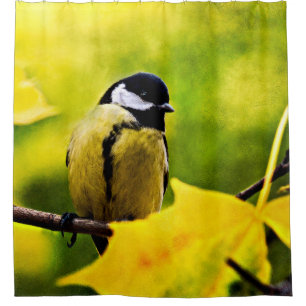 Tomtit - Dressed To The Season