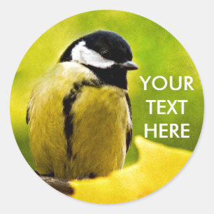Tomtit - Dressed To The Season Classic Round Sticker