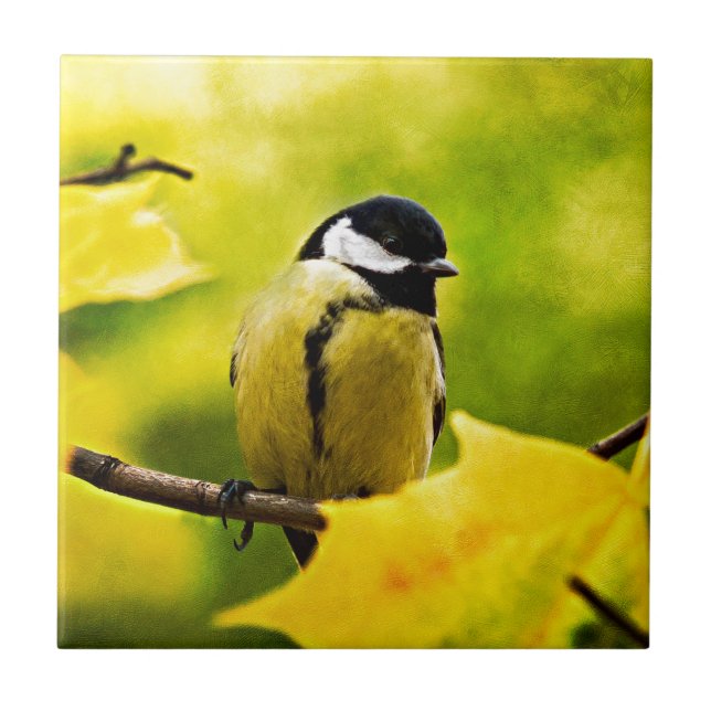 Tomtit - Dressed To The Season Tile (Front)