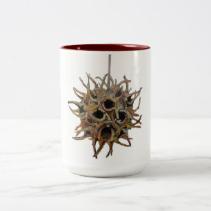 Ton de la cosse 2 de Sweetgum 15 onces. tasse (1