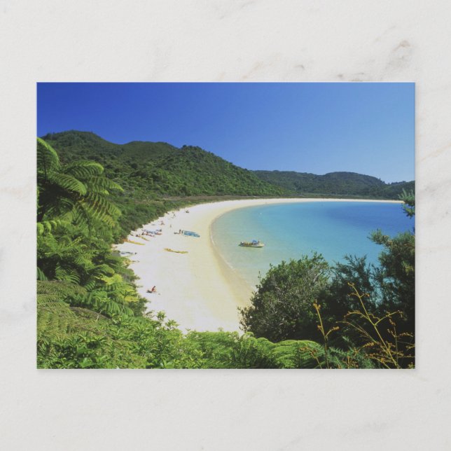 Tonga Bay, Abel Tasman NP, South Island, New Postcard (Front)