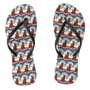 Tongs Abyssinian cat on Beach, cadeau d'été pour amoureu
