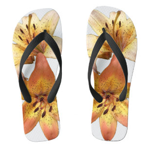 Tongs Adorable Mignonne Fancy Day Lily Photo