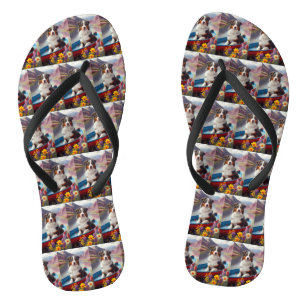 Tongs Australian Shepherd on Paddle : Une aventure Pitto