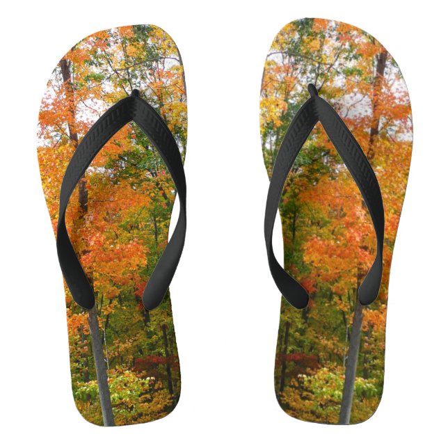 Tongs Automne Maple Trees Automne Photographie de la nat (Semelle)