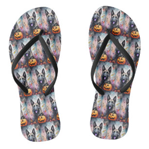 Tongs Berger belge Halloween avec citrouilles effrayant 
