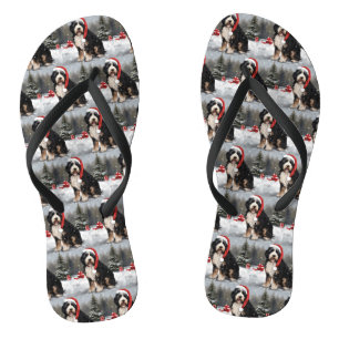 Tongs Bernedoodle Chien dans Noël de neige