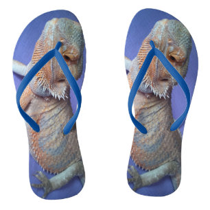 Tongs Bleu de dragon à oreilles cendrées