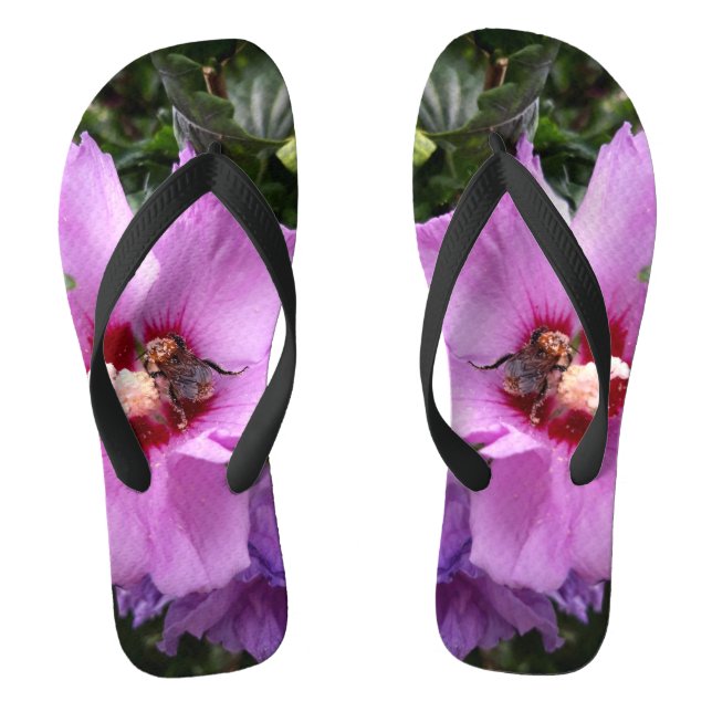 Tongs Bumblebebe sur la fleur d'Hibiscus (Semelle)