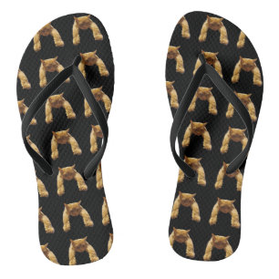 Tongs Chat Lazy Ginger, Tournons