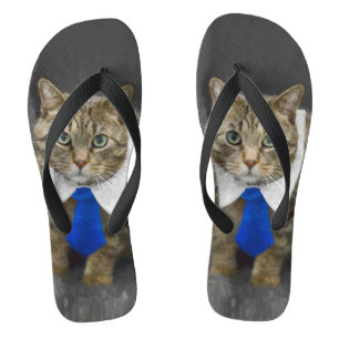 Tongs Chat tigré brun aux yeux verts mignon portant une