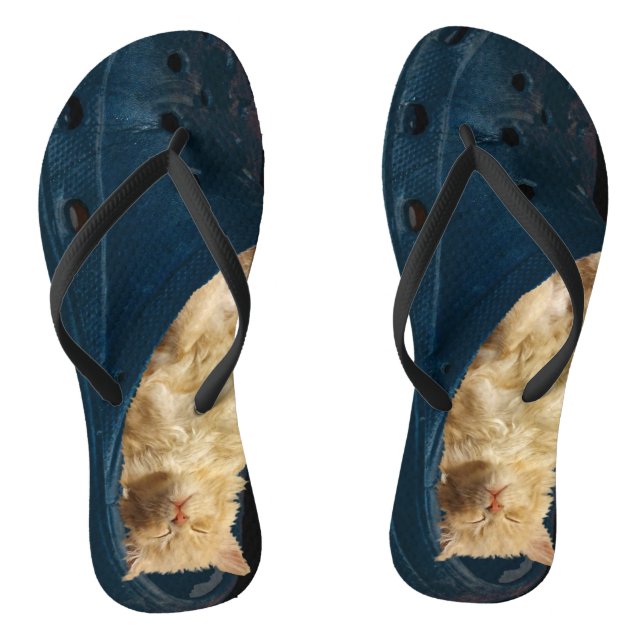 Tongs Chaton À Dormir Dans Une Chaussure À Croc, Flip Fl (Semelle)