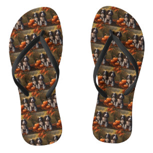 Tongs Chiots Springer Spaniel Délice d'Automne Citrouill