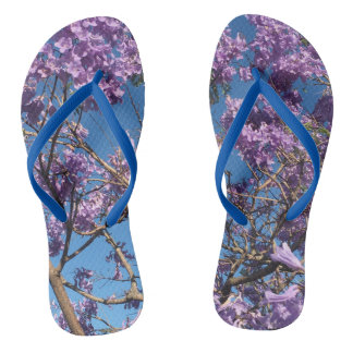 Tongs Ciel bleu Jacaranda
