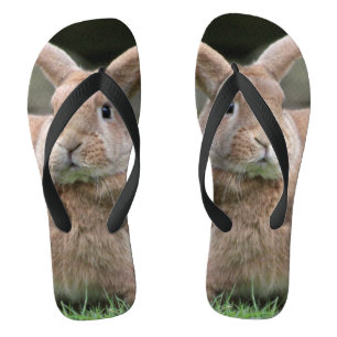Tongs Cute lapin de gingembre avec de grandes oreilles