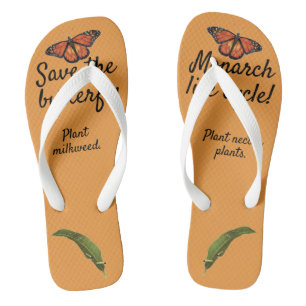 Tongs Cycle de vie des papillons monarques