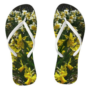 Tongs Daffodiles jaunes et blancs Fleurs de printemps
