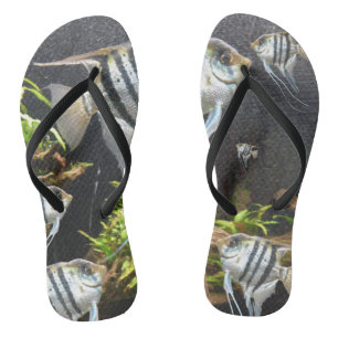 Tongs de plage adultes rayés de poissons tropicaux
