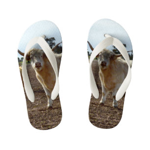 Tongs Enfants Bétail en liberté : vol de blé par des vaches High