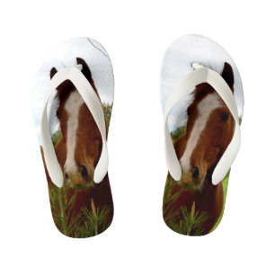 Tongs Enfants Chestnut Horse Sniffing A Banksia Tree