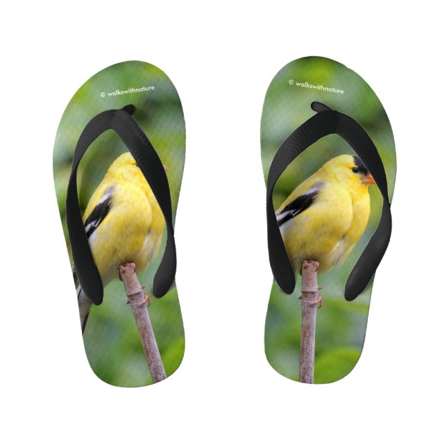 Tongs Enfants Goldfinch américain masculin sur le bambou (Semelle)