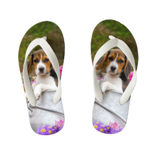 Tongs Enfants Petit chien Beagle de Tricolore
