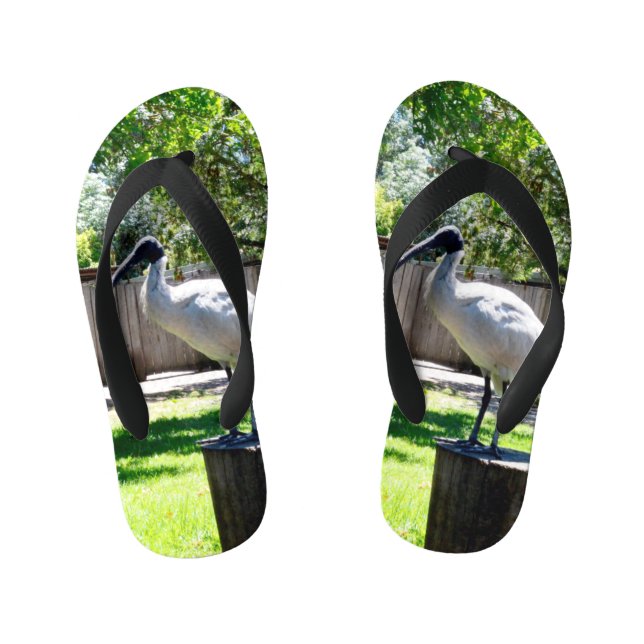 Tongs Enfants Poulets de poule (iBIS) pour les enfants Flip Flop (Semelle)