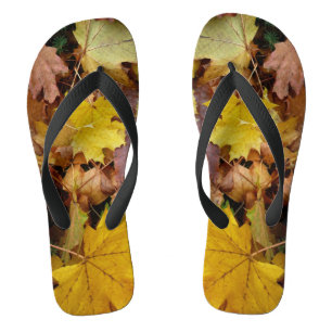 Tongs Fallen Maple Feuille Jaune Automne Nature