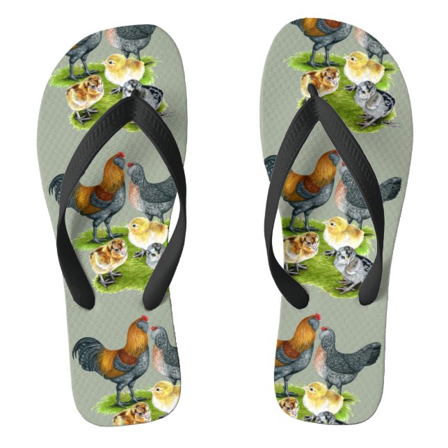 Tongs Famille de poulet d'Ameraucana (Semelle)