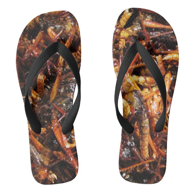 Tongs Grasshopper frit (Takkataen Thot) Alimentation asi (Semelle)