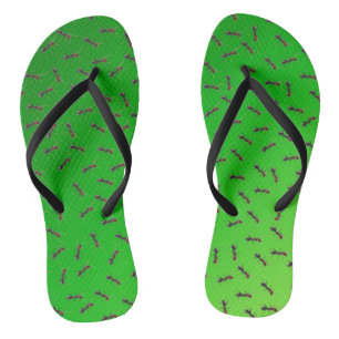 Tongs Green Bull Ants Swarming,