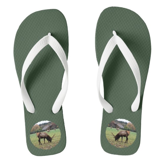 Tongs Hommes Antlers Elk Pâturage photo en vert de champ (Semelle)