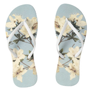 Tongs Illustration vintage de la crème blanche Azalea