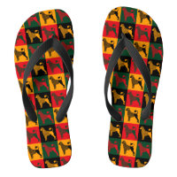 Le chien d'eau portugais intelligent