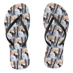 Tongs Le Malinois Belge Laisser Neige Noël