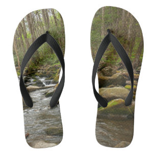 Tongs Le ruisseau Le Conte dans les montagnes Great Smok