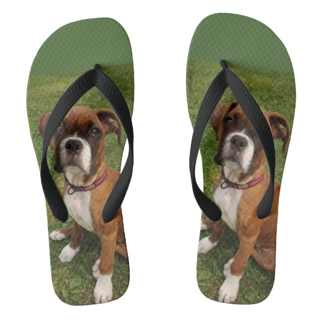 Tongs Les bascules électroniques de CHIEN de BOXEUR (Semelle)